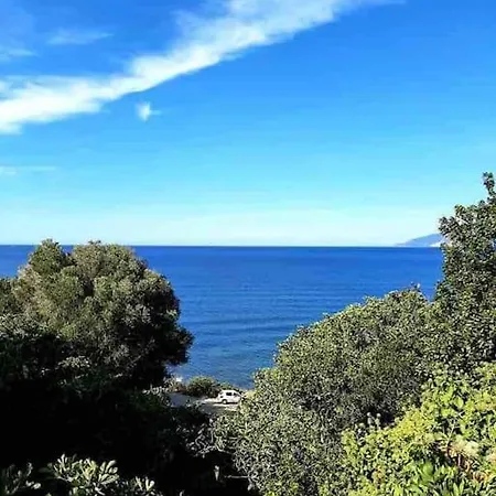 Florent /haute Corse 아파트 *